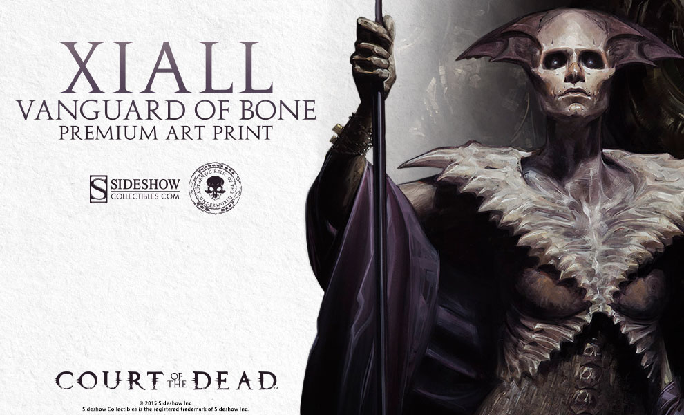 Xiall Premium Art Print
