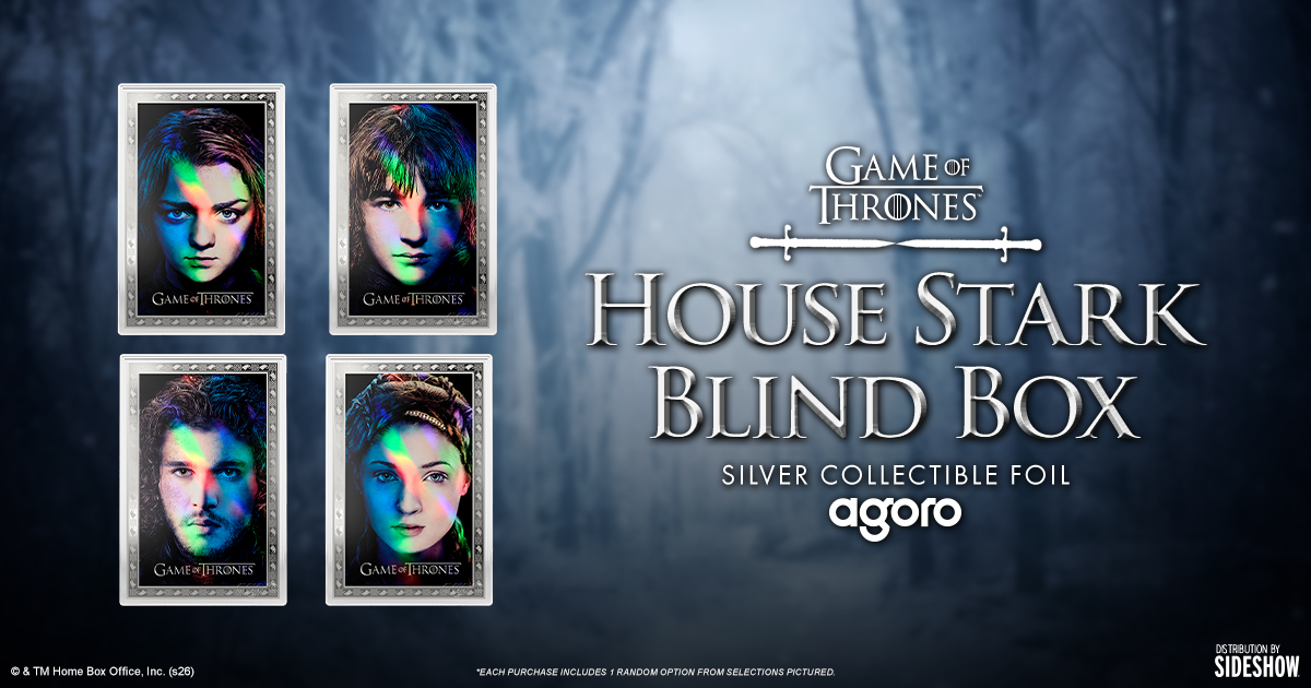 House Stark Blind Box Silver Collectible