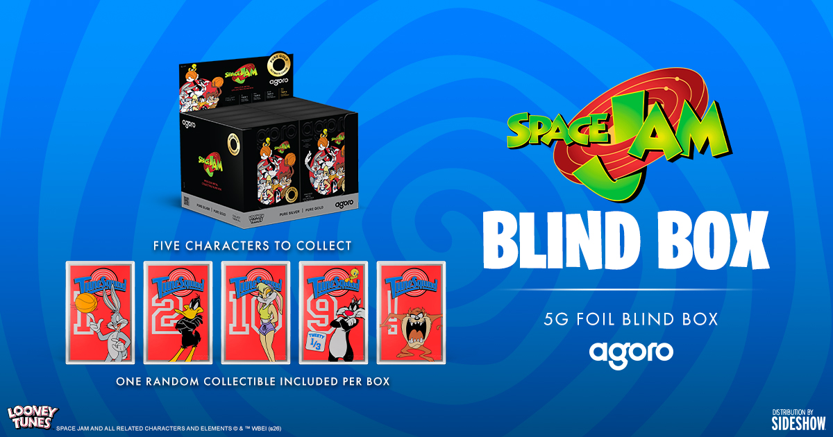 Space Jam Blind Box Silver Collectible
