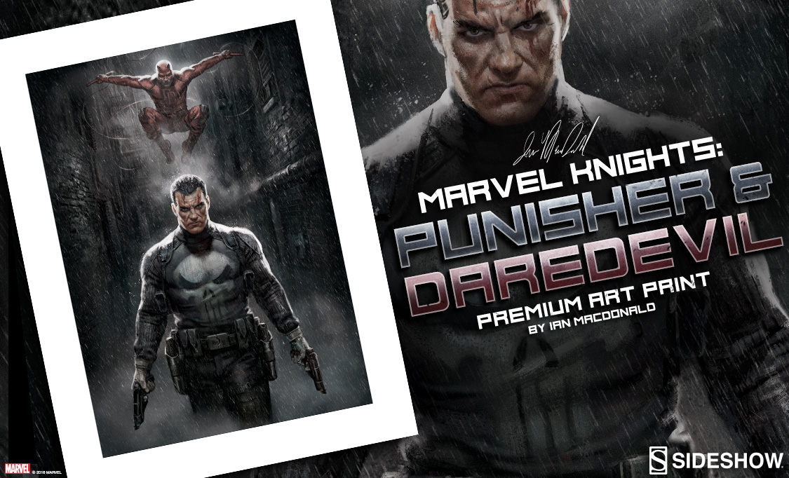 Punisher & Daredevil Premium Art Print